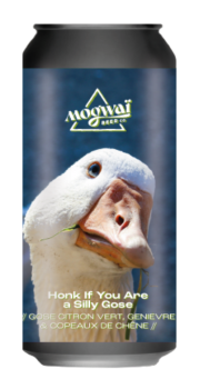 Honk if you are silly gose...